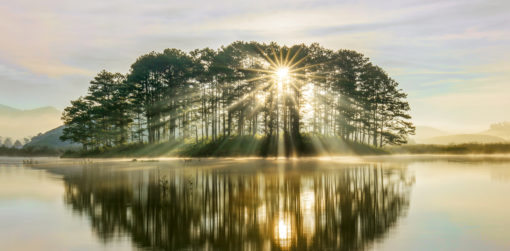 The sun shines through trees on an island surrounded by water.