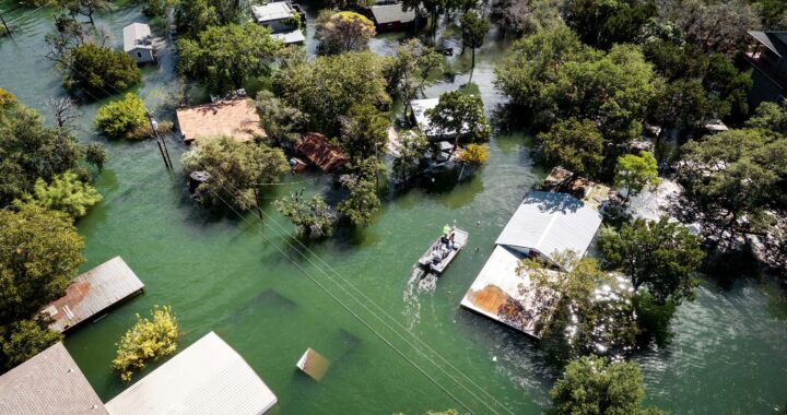 An aerial view of roofs and trees in a flooded neighborhood