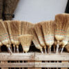 A collection of corn straw brooms stand together in a bin.